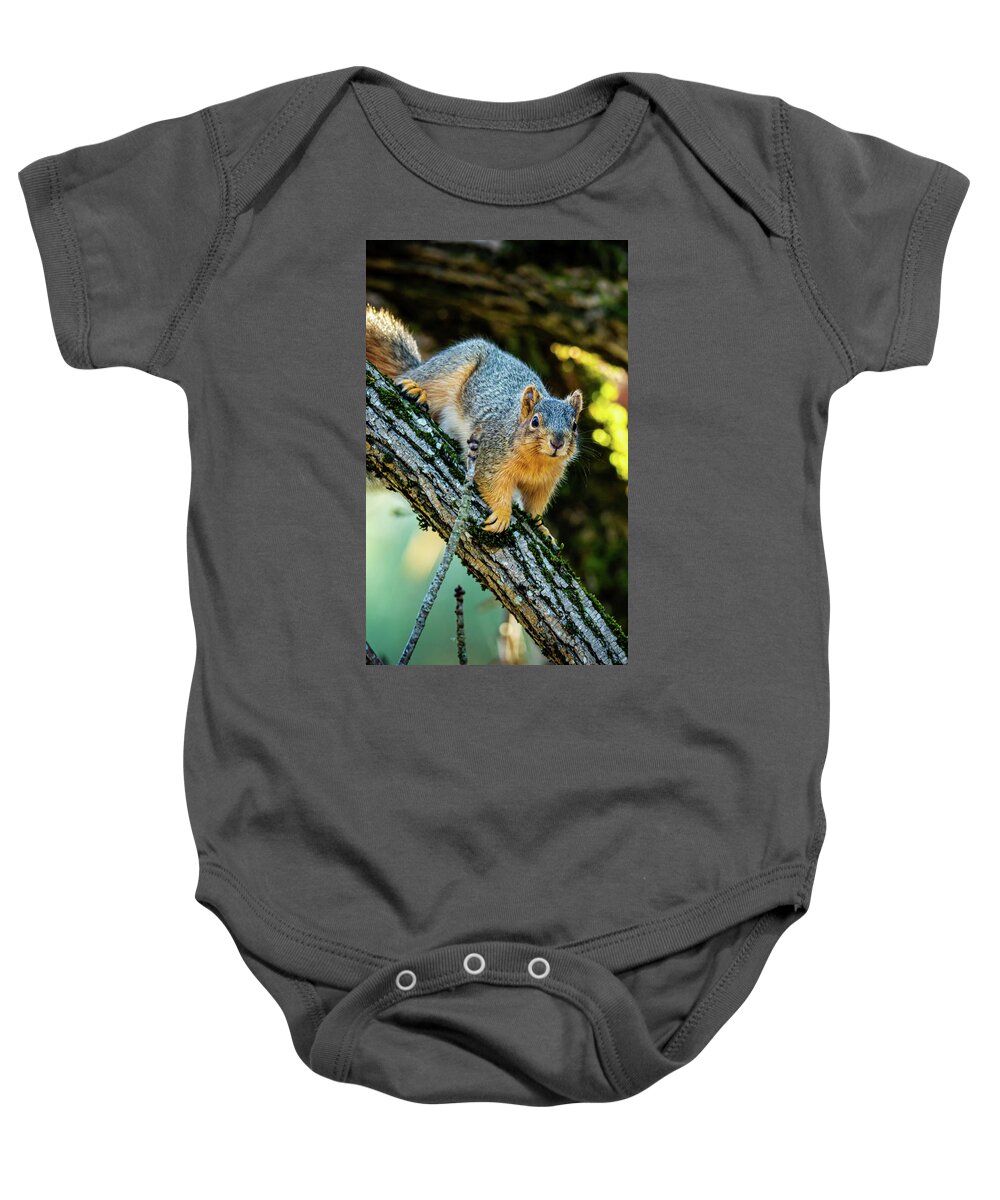 2024 Baby Onesie featuring the photograph Squirrel In a Tree by Ant Pruitt