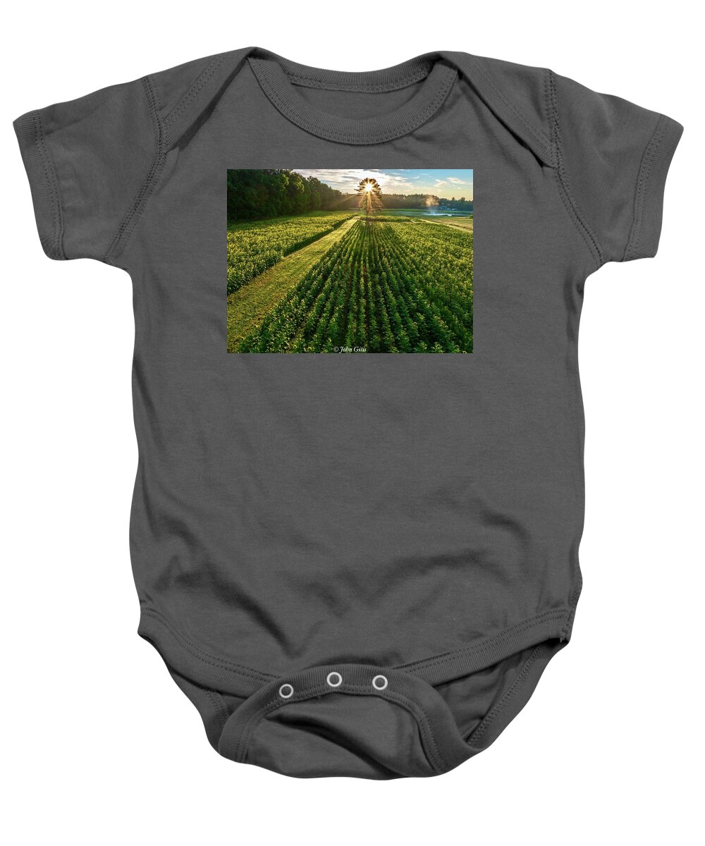  Baby Onesie featuring the photograph Sunflower Sunrise #1 by John Gisis