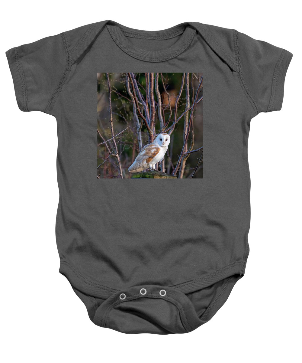 Barn Owl Baby Onesie featuring the photograph The Glance #1 by Mark Hunter