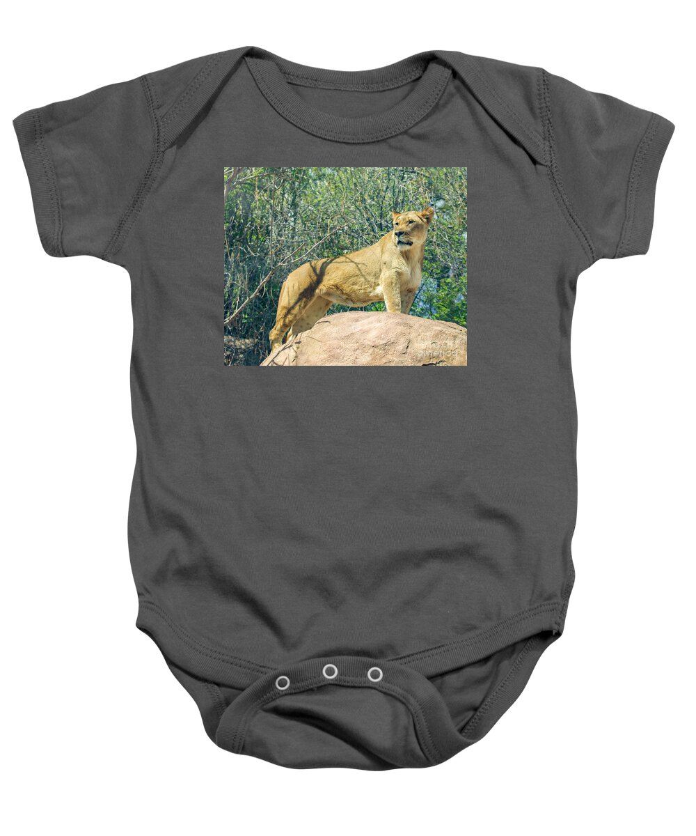 Lion Baby Onesie featuring the photograph The Lookout #1 by Shirley Dutchkowski