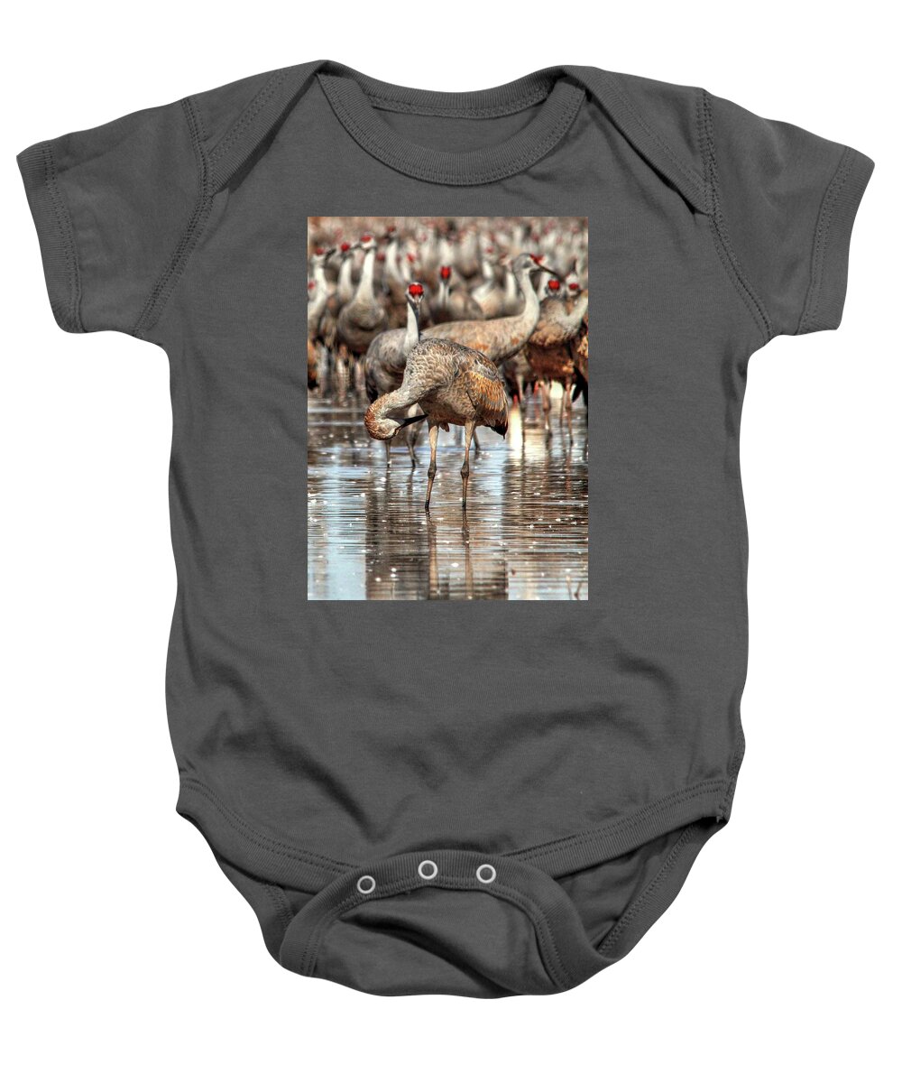 Wildlife Baby Onesie featuring the photograph Whitewater Draw 2537 by Robert Harris