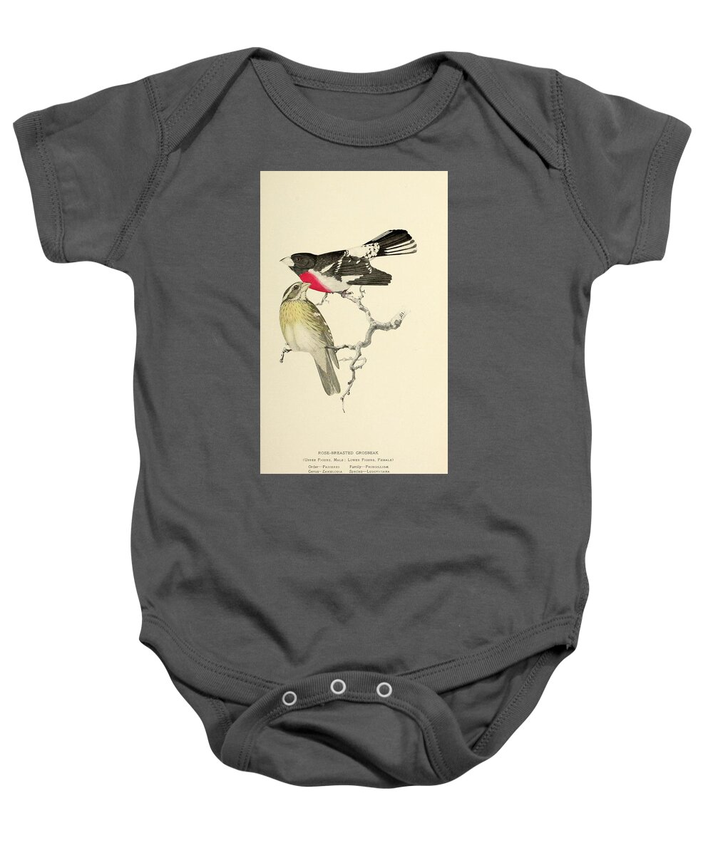 Birds Baby Onesie featuring the mixed media Beautiful Vintage Bird #1023 by World Art Collective
