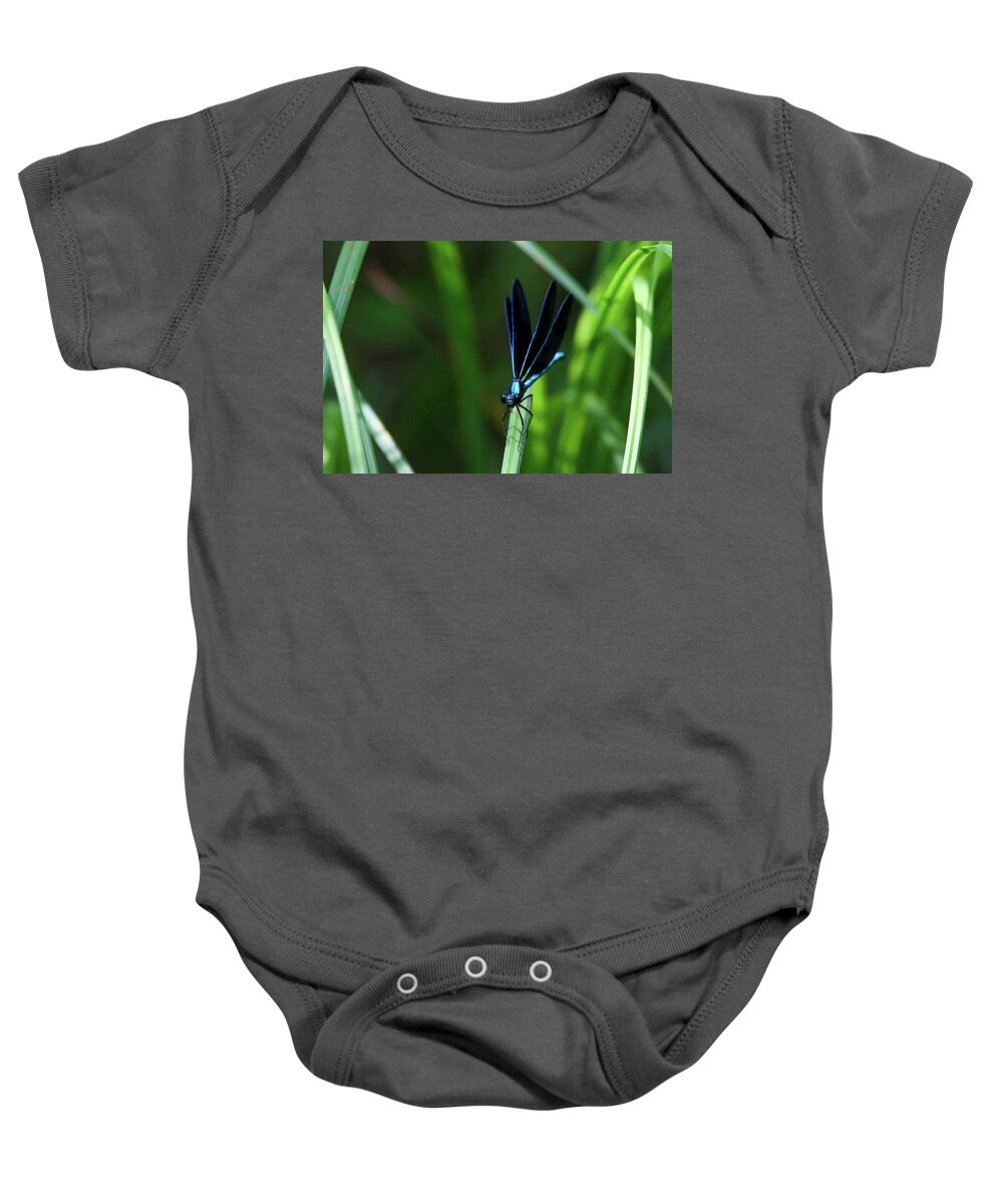 Dragonfly Baby Onesie featuring the photograph Ebony Jewelwing Damselfly #11 by Brook Burling
