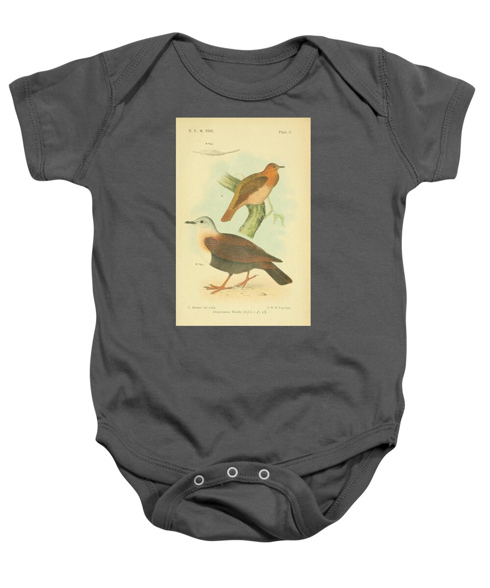 Birds Baby Onesie featuring the mixed media Beautiful Vintage Bird #1167 by World Art Collective