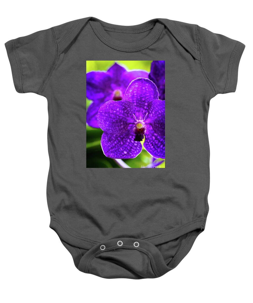 Background Baby Onesie featuring the photograph Purple Orchid Flowers #17 by Raul Rodriguez