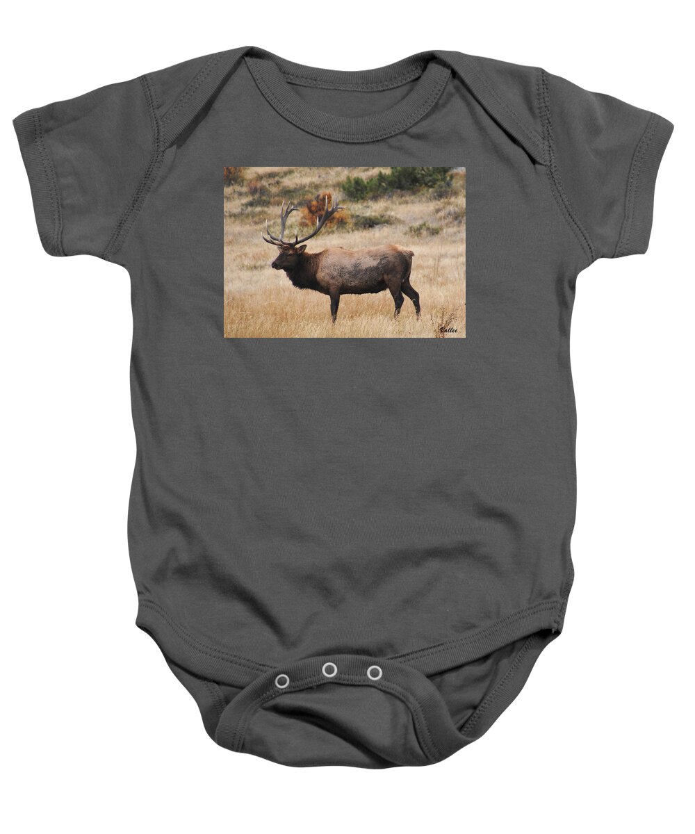 Nature Baby Onesie featuring the painting Bull Elk #2 by Vallee Johnson