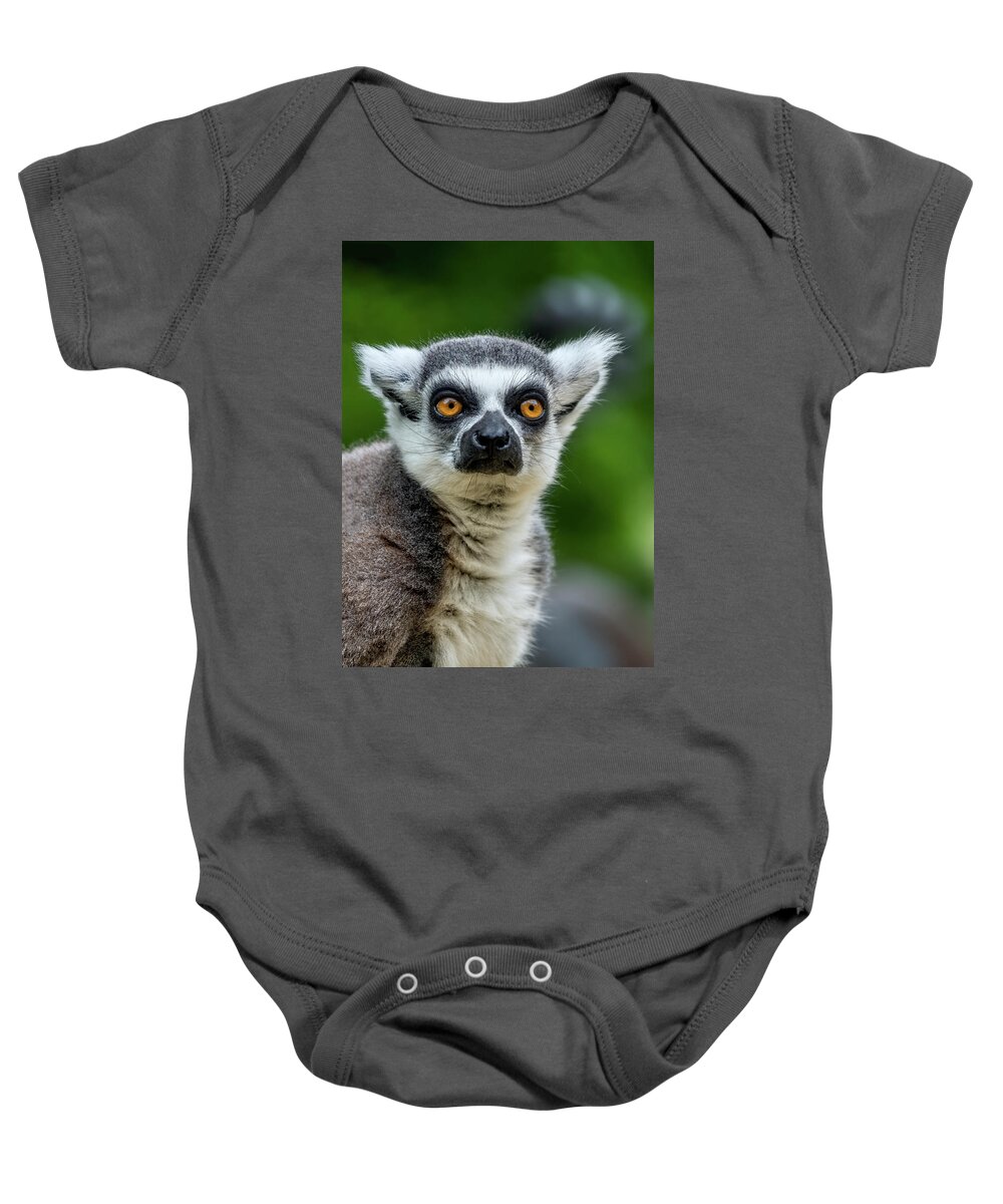 Lemur Baby Onesie featuring the photograph Ring tailed lemur #2 by Kuni Photography
