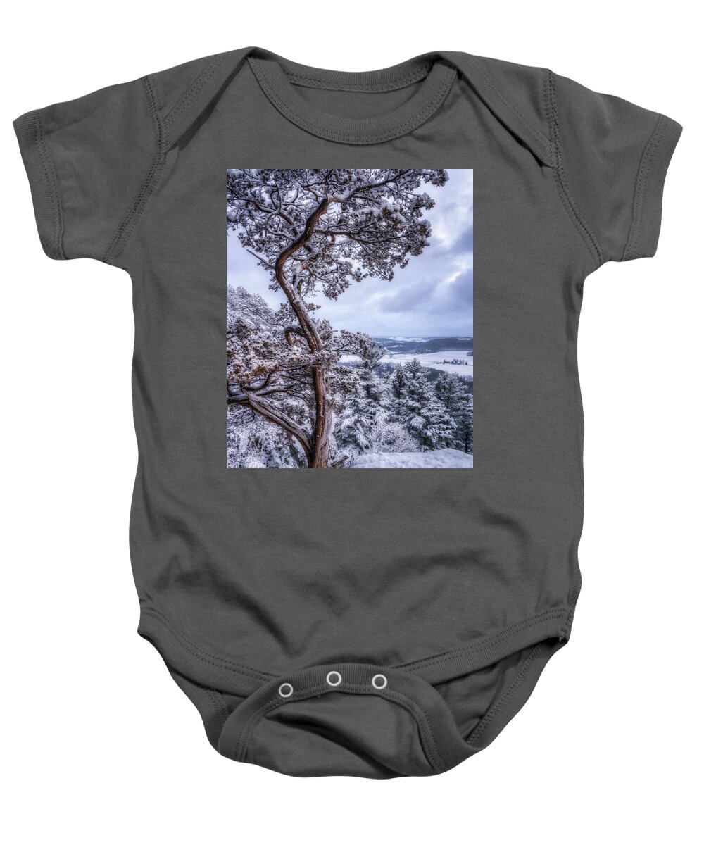 Snow Baby Onesie featuring the photograph Winter Wonderland #2 by Brad Bellisle