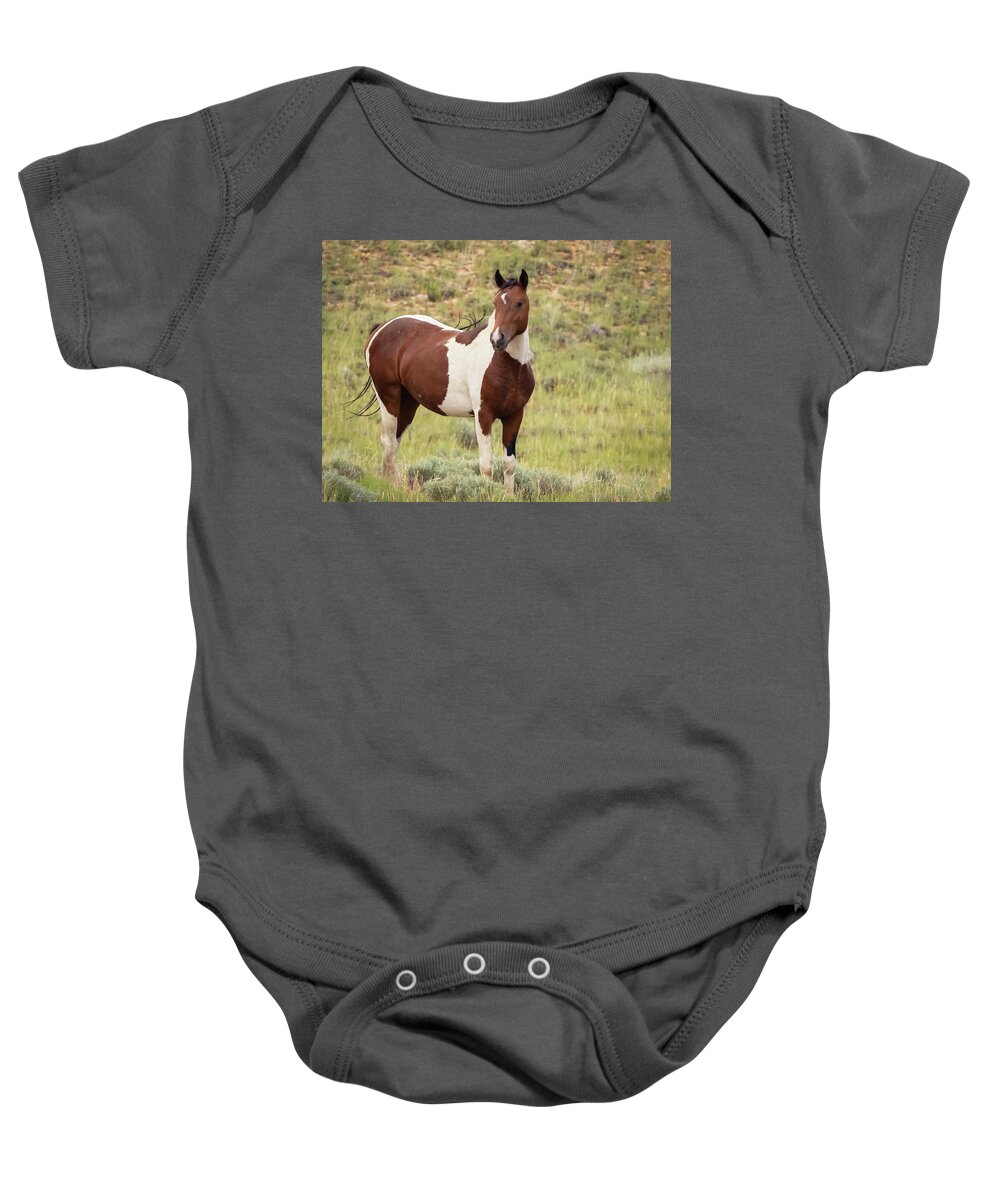 Horse Baby Onesie featuring the photograph Wild Horses #20 by Laura Terriere