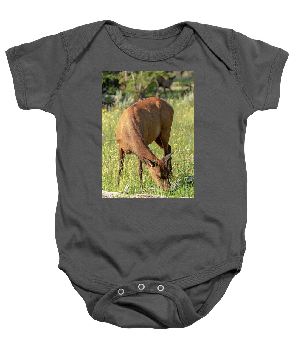 Elk Baby Onesie featuring the photograph 2018 Elk- 4 by Tara Krauss