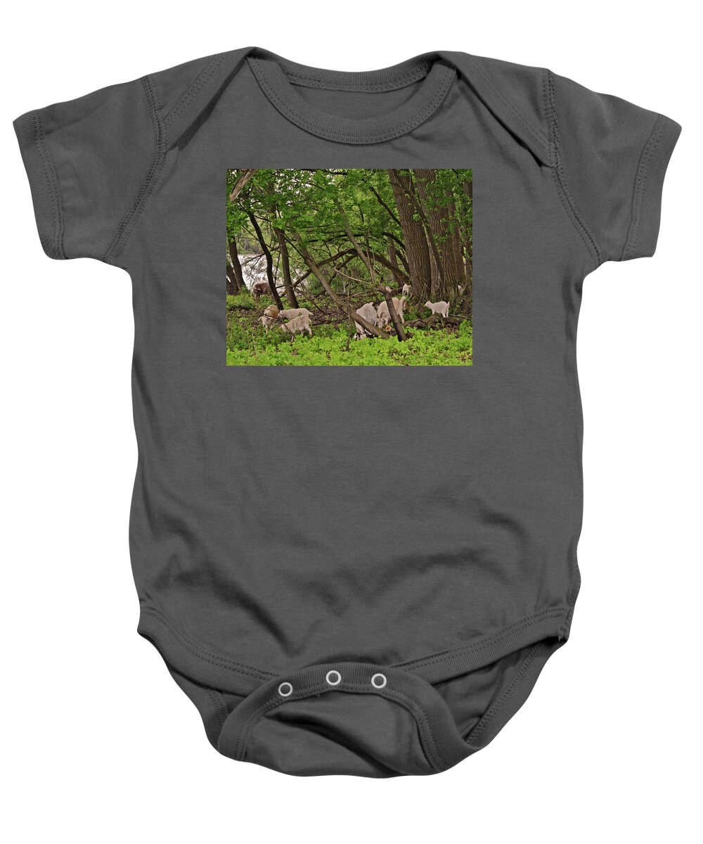 Goats Baby Onesie featuring the photograph 2022 Acewood Basin Landscape with Goats by Janis Senungetuk