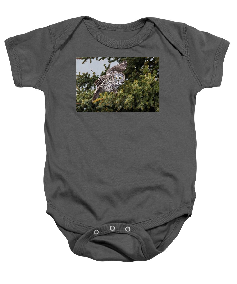 Sax Zim Bog Baby Onesie featuring the photograph Great Gray Owl #3 by Paul Schultz