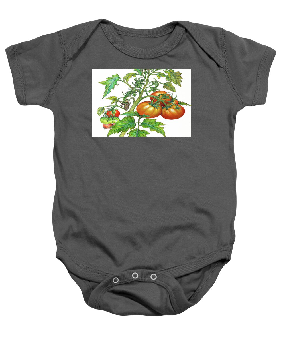 Tomatoes Baby Onesie featuring the digital art 3 Tomatoes 3c by Cathy Anderson