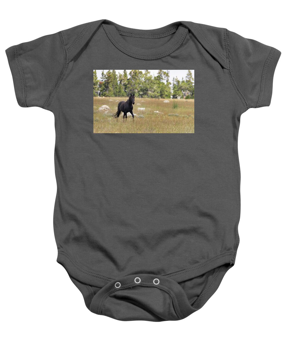 Horse Baby Onesie featuring the photograph Stallion #5 by Laura Terriere