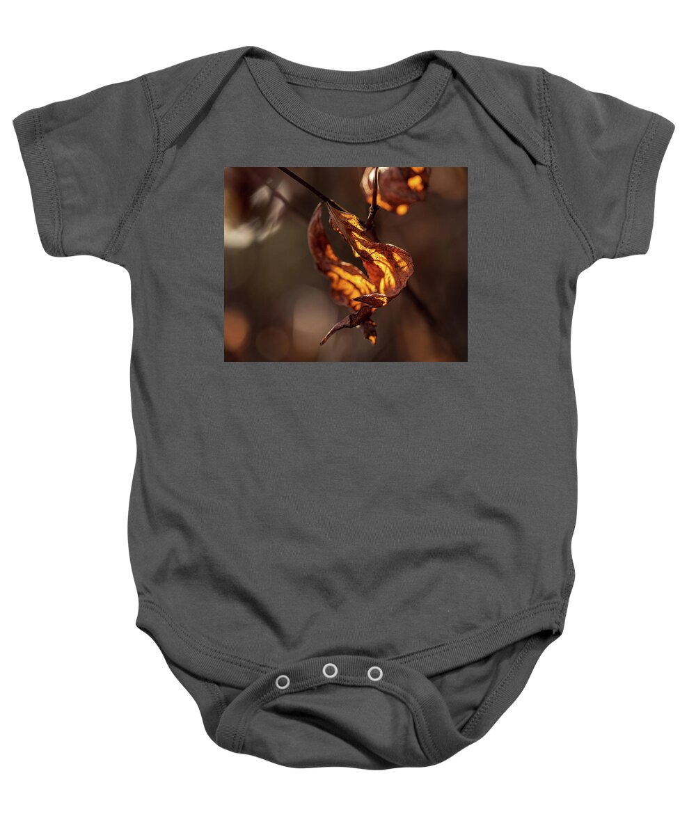 Landscape Baby Onesie featuring the photograph Nature Photography - Fall Leaves by Amelia Pearn