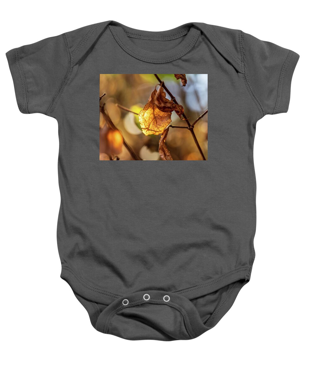 Landscape Baby Onesie featuring the photograph Nature Photography - Fall Leaves #7 by Amelia Pearn