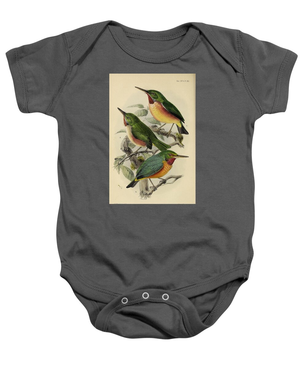 Birds Baby Onesie featuring the mixed media Beautiful Vintage Bird #961 by World Art Collective