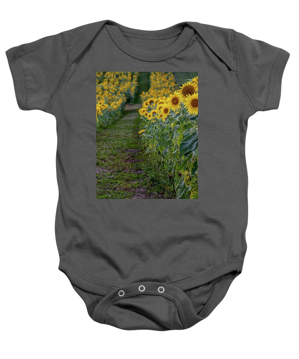 Agriculture Baby Onesie featuring the photograph A far as the eye can see by Brian Shoemaker