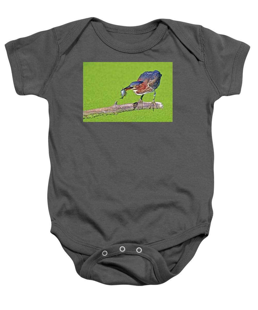 Green Heron Baby Onesie featuring the photograph A Green Heron Caught a Perch by Shixing Wen