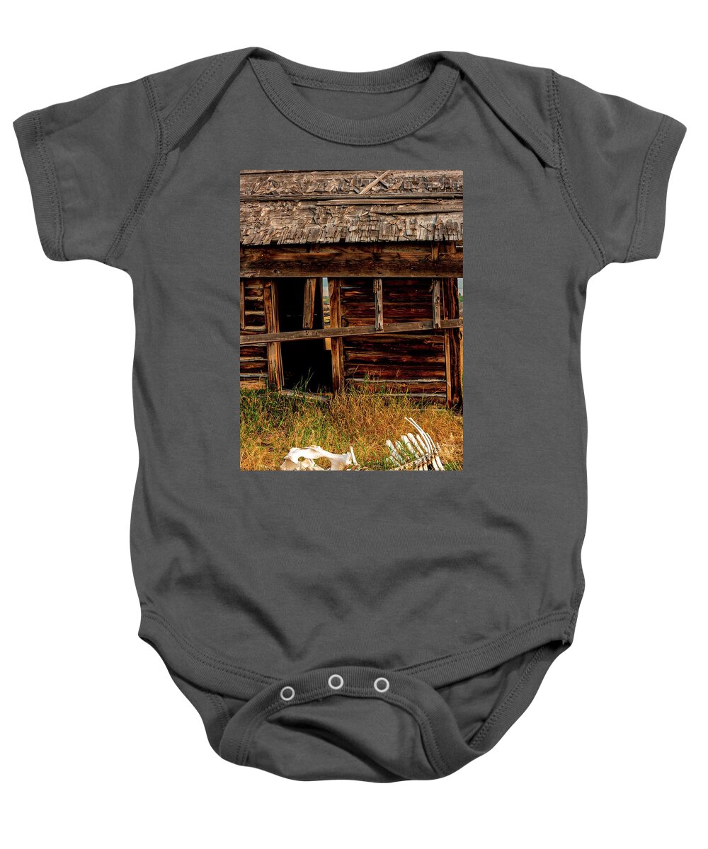 Barn Baby Onesie featuring the photograph A Hard Winter by Pamela Dunn-Parrish