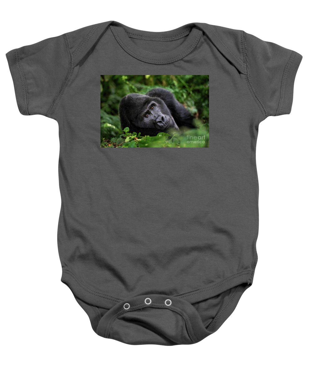 Mountain Gorilla Baby Onesie featuring the photograph A large silverback mountain gorilla, gorilla beringei beringei, lies in the undergrowth of the Bwindi Impenetrable forest, Uganda. by Jane Rix