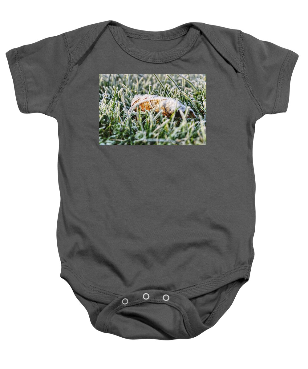 Environment Baby Onesie featuring the photograph A lost frost leaf lying in frost grass in the middle of garden. He is still brown and waiting for some sun by Vaclav Sonnek