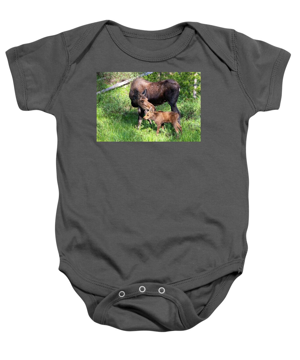 Moose Baby Onesie featuring the photograph A Mother's Love by Darlene Bushue