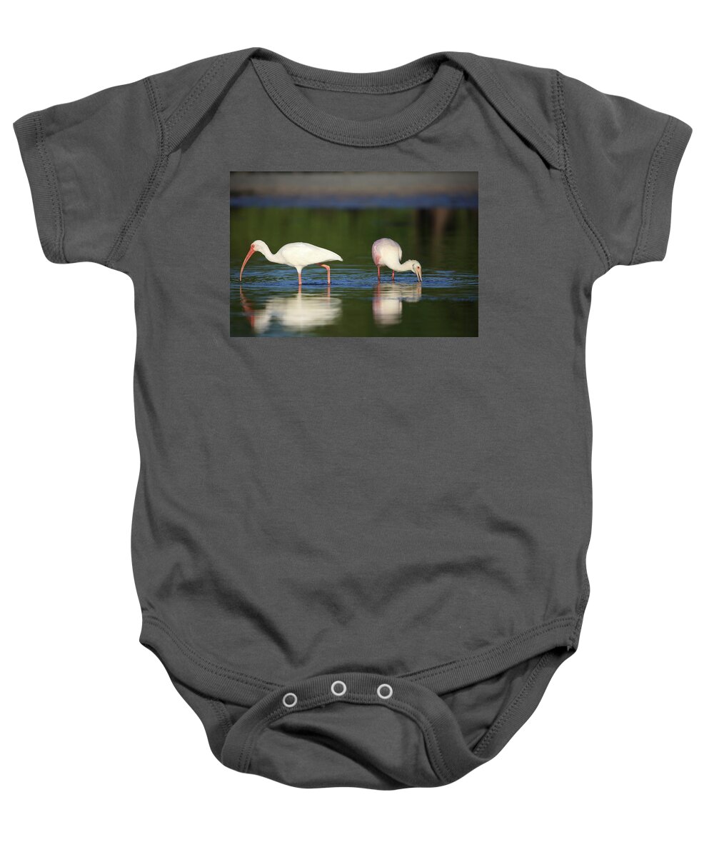 White Ibis Baby Onesie featuring the photograph A Peaceful Moment by Mingming Jiang