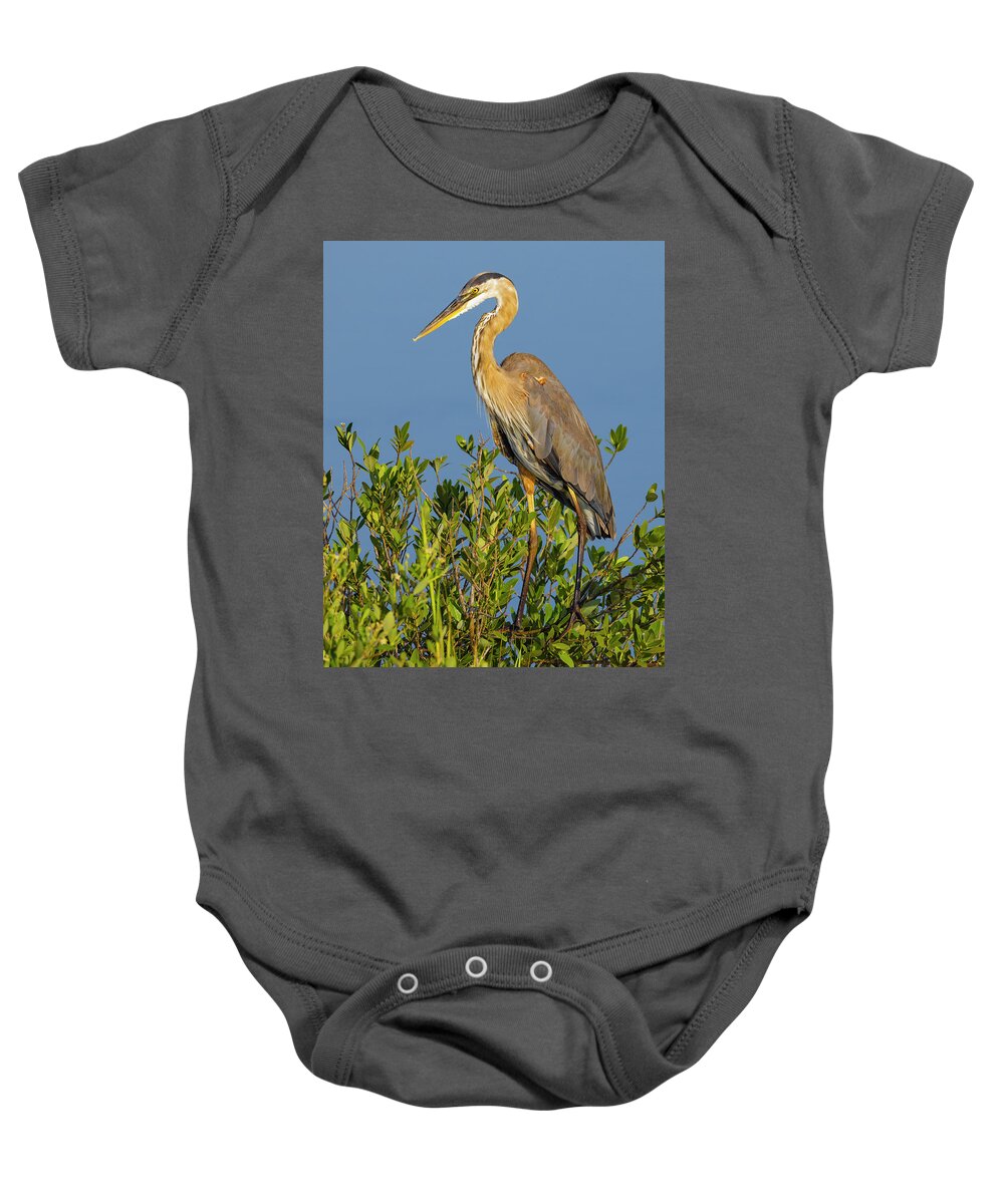 R5-2653 Baby Onesie featuring the photograph A Proud Heron by Gordon Elwell