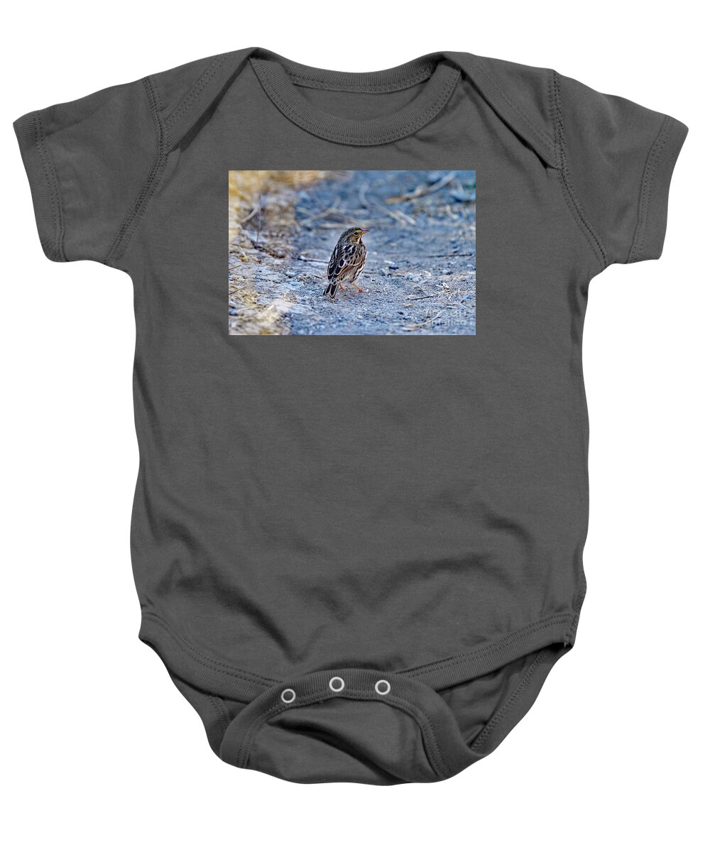 Passer Domesticus Baby Onesie featuring the photograph A Sparrow by Amazing Action Photo Video