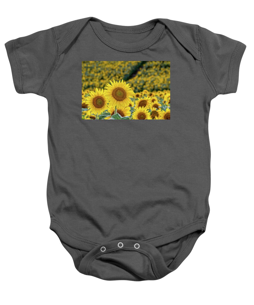 Agriculture Baby Onesie featuring the photograph A Summer Beaty by Brian Shoemaker