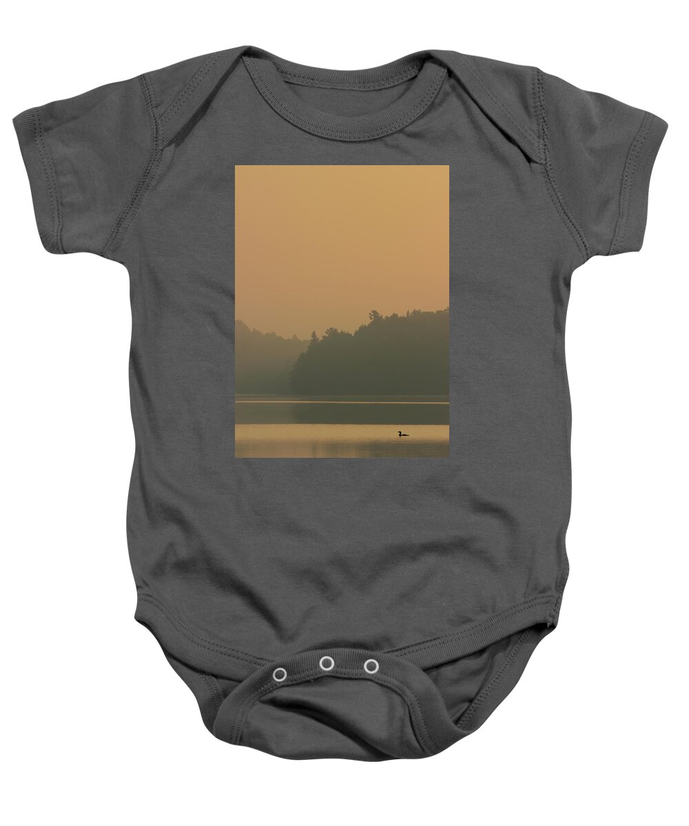 Loons Baby Onesie featuring the photograph A Summer Dream - Common Loon - Gavia Immer by Spencer Bush