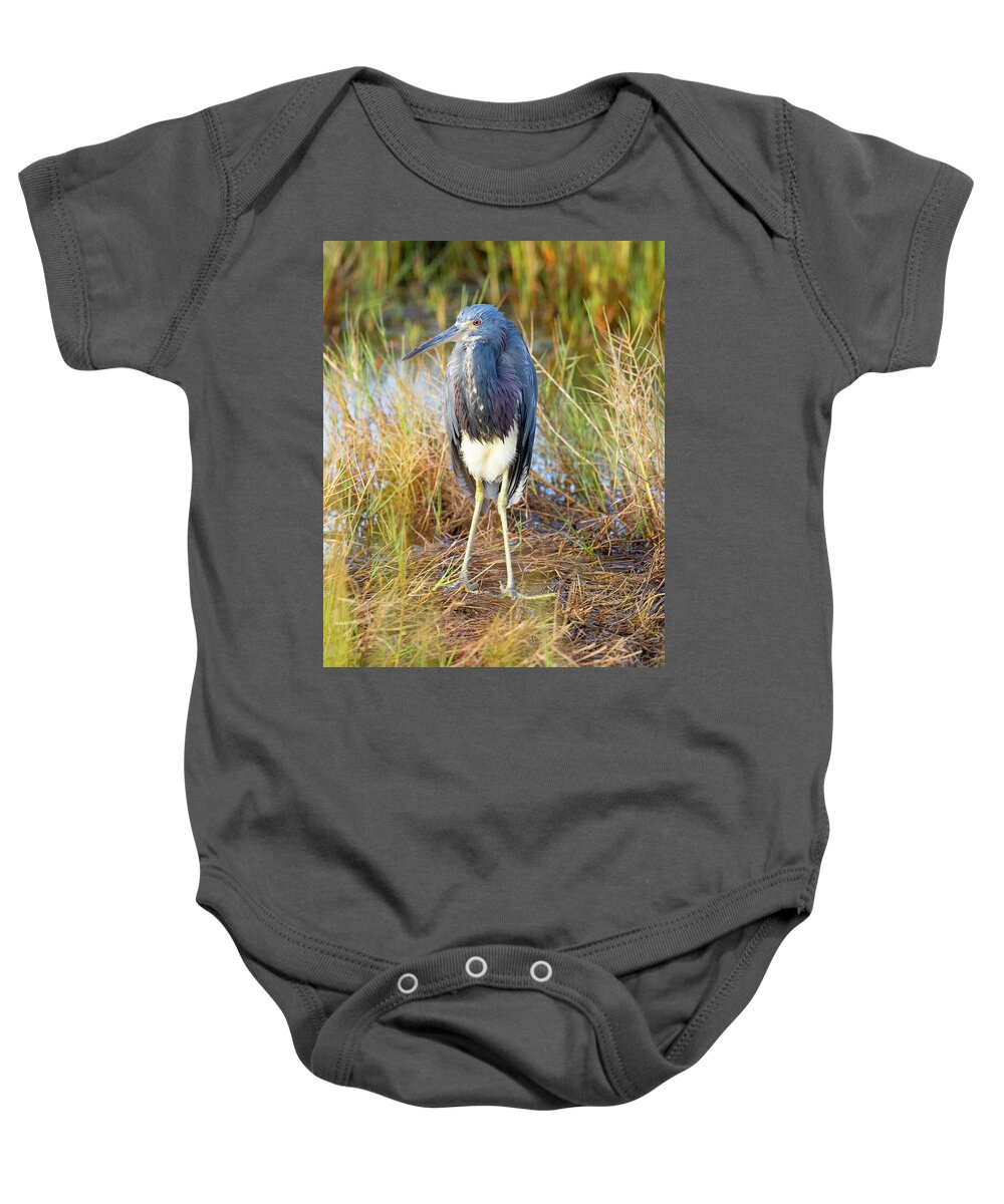 R5-2607 Baby Onesie featuring the photograph A young blue heron by Gordon Elwell
