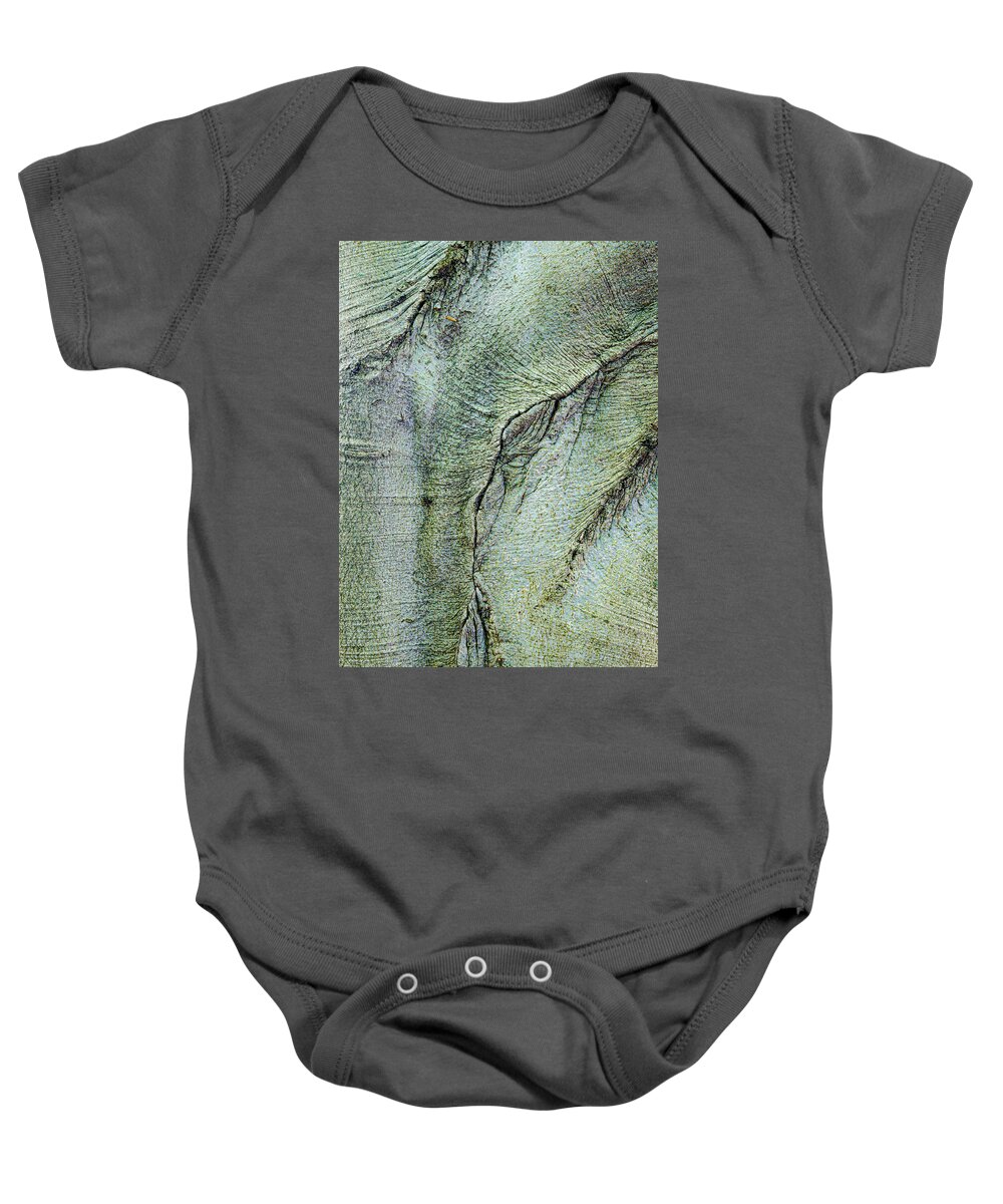 Tree Baby Onesie featuring the photograph Abstract In The Tree Bark by Gary Slawsky