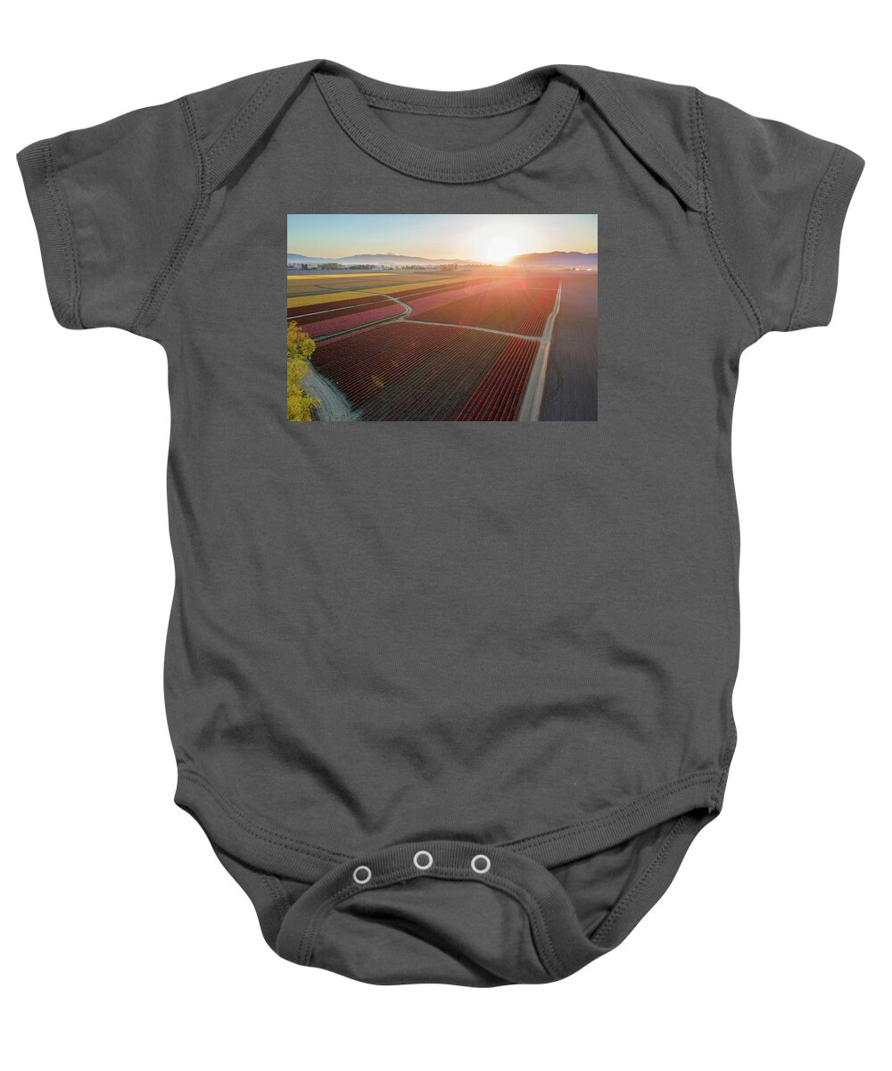 Skagit Baby Onesie featuring the photograph Aerial Tulips1 by Michael Rauwolf
