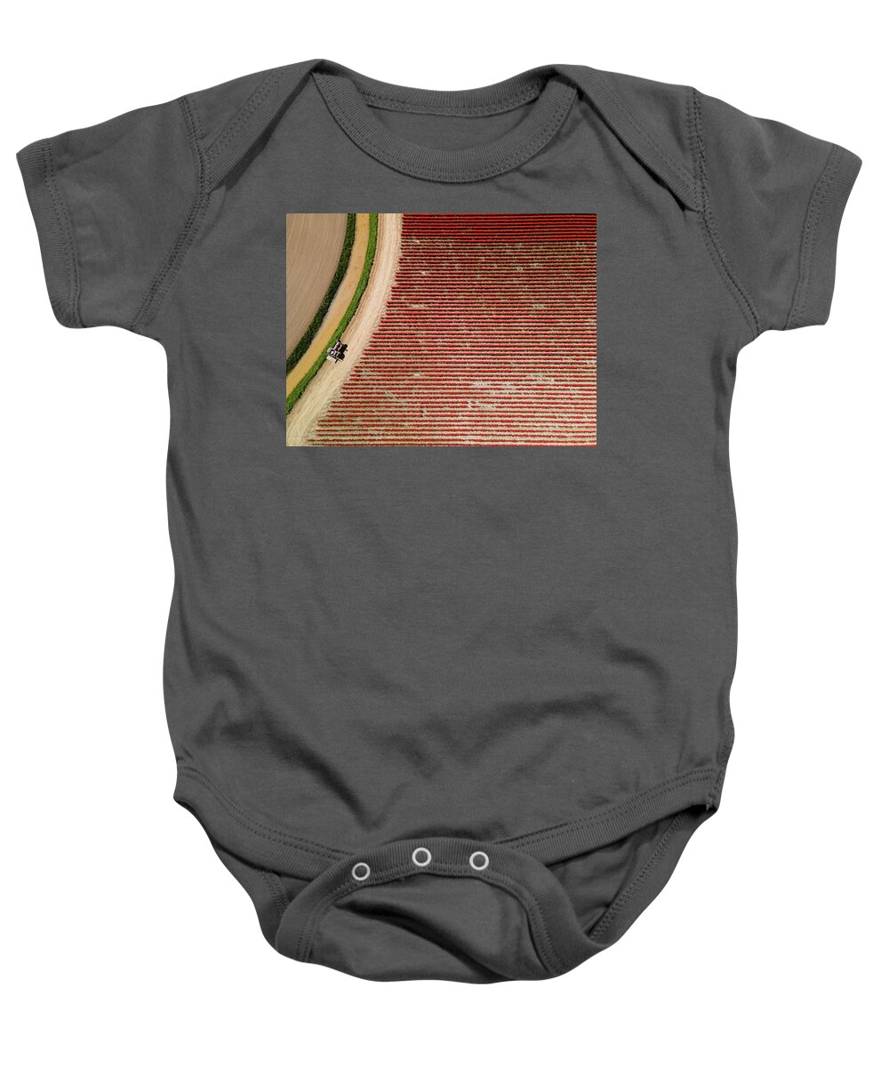 Skagit Valley Tulips Baby Onesie featuring the photograph Aerial Tulips3 by Michael Rauwolf