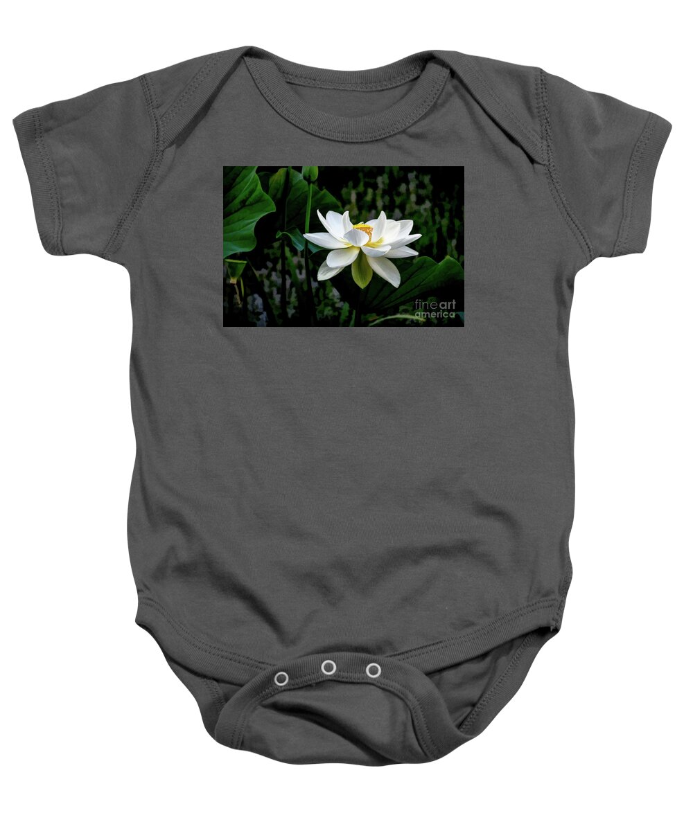 Floral Art Baby Onesie featuring the photograph Alba Grandiflora by Diana Mary Sharpton