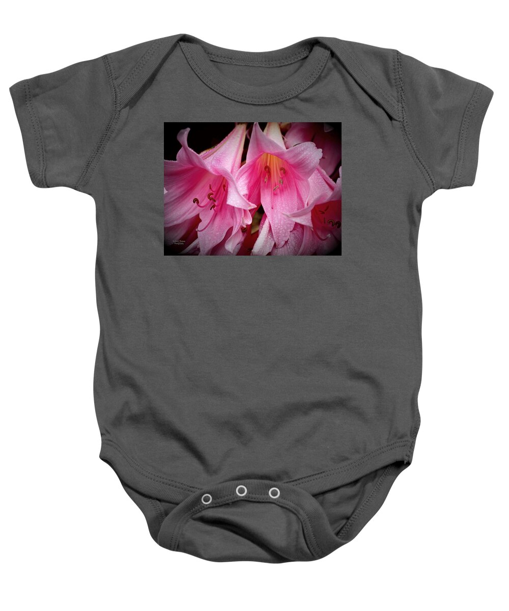Botanical Baby Onesie featuring the photograph Amaryllis Pink Ladies by Richard Thomas