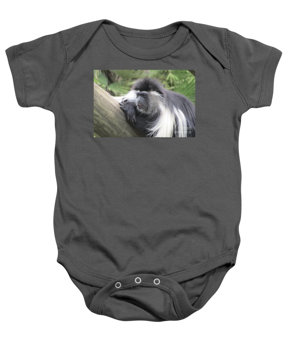 Monkey Baby Onesie featuring the photograph Angolan Colobus Monkey by World Reflections By Sharon