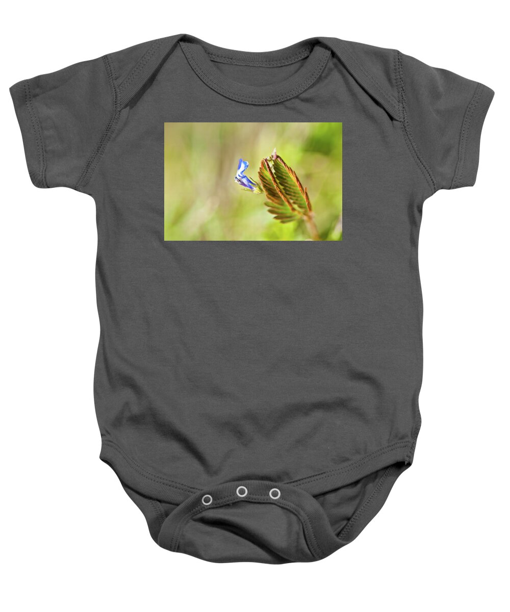 Angkor Baby Onesie featuring the photograph Angor Wat's sensitive fern. Cambodia by Lie Yim