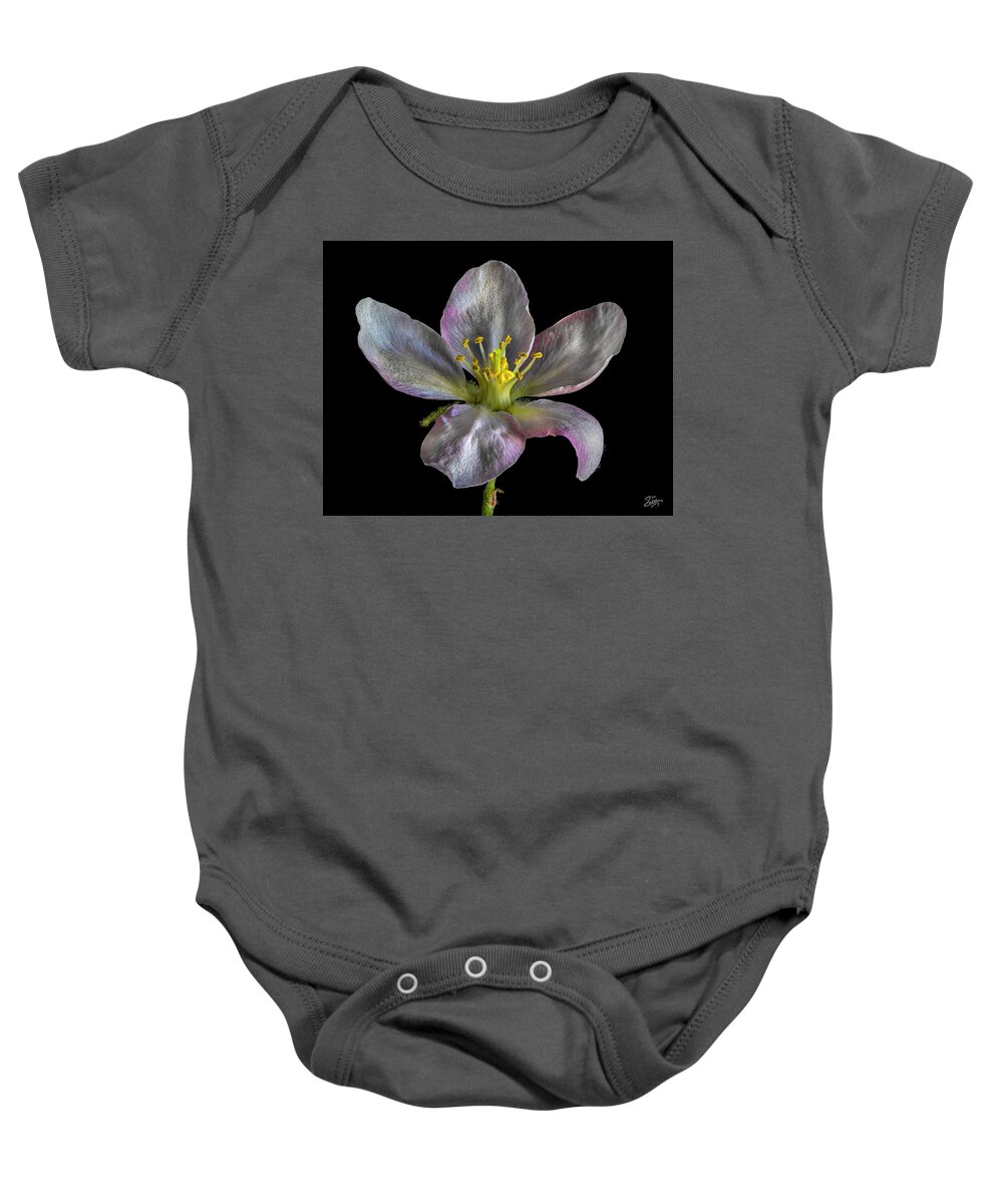 Apple Blossom Baby Onesie featuring the photograph Apple Blossom 1 by Endre Balogh