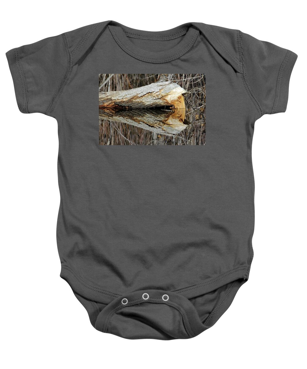 Usa Baby Onesie featuring the photograph Artwork Of A Beaver by Jennifer Robin