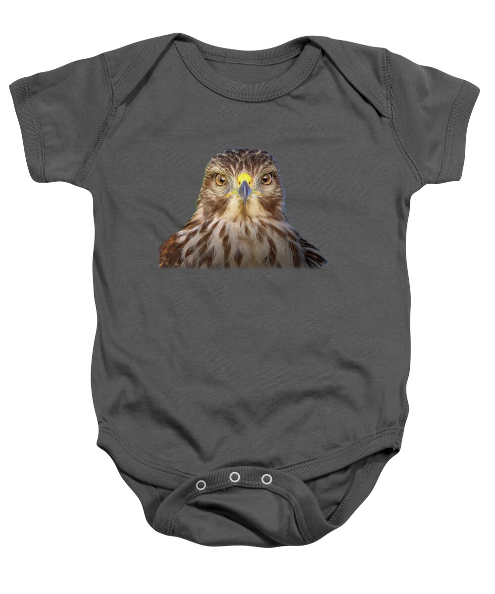 Red Shouldered Hawk Baby Onesie featuring the photograph Portrait of a Raptor by Mark Andrew Thomas