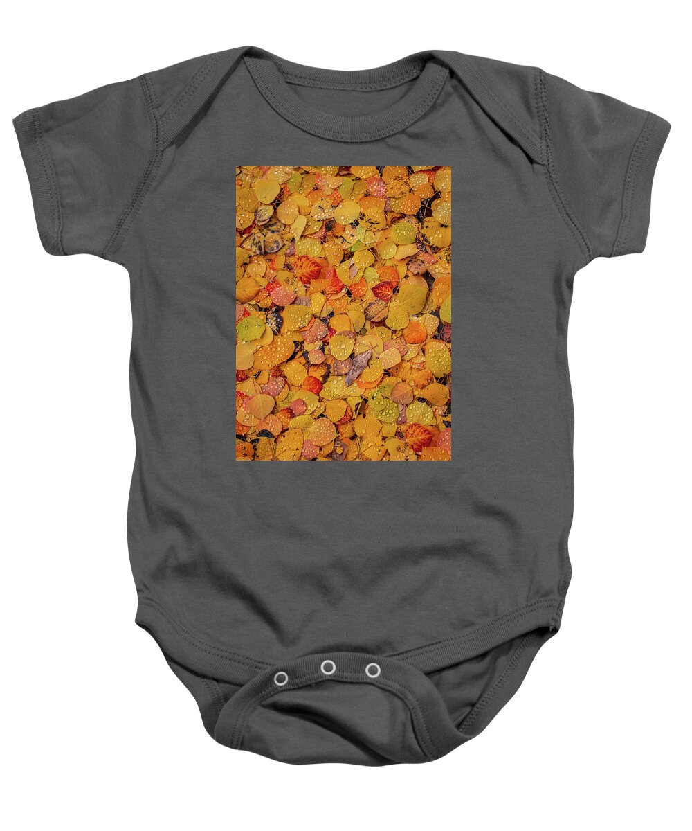 Aspen Leaves Baby Onesie featuring the photograph Aspen Water Colors by Jeff Phillippi