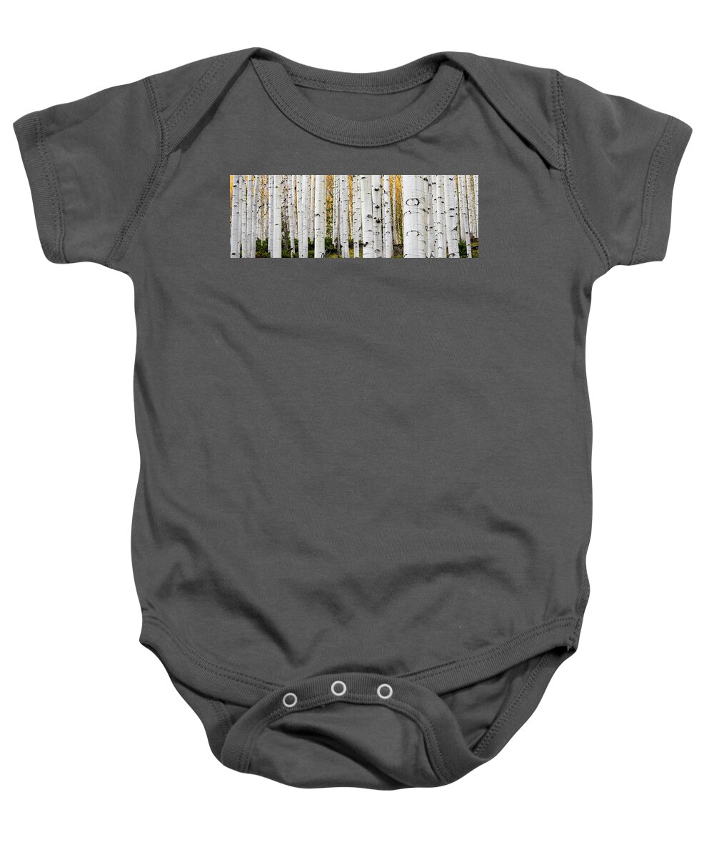 Aspen Baby Onesie featuring the photograph Aspens and Gold - 3 to 1 by Stephen Holst