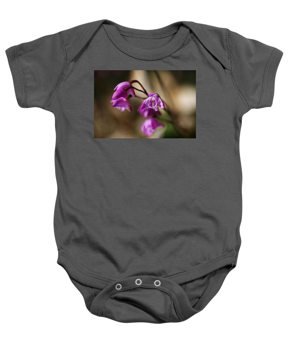 Dendrobium Baby Onesie featuring the photograph Australia's Native Orchid Small Dendrobium by Joy Watson