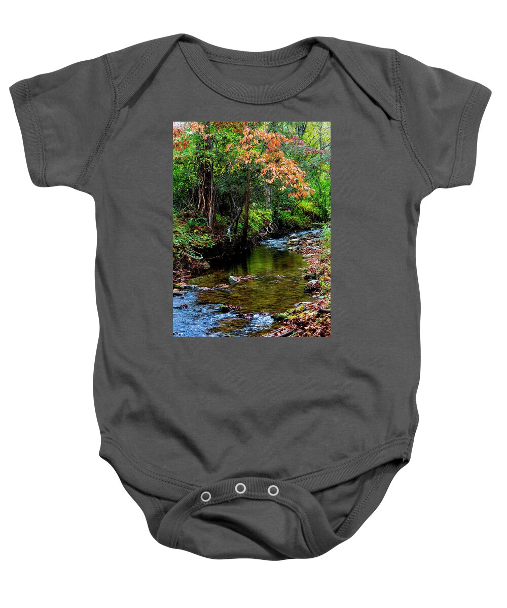 Blairsville Baby Onesie featuring the photograph Autumn Branches over the Stream by Debra and Dave Vanderlaan