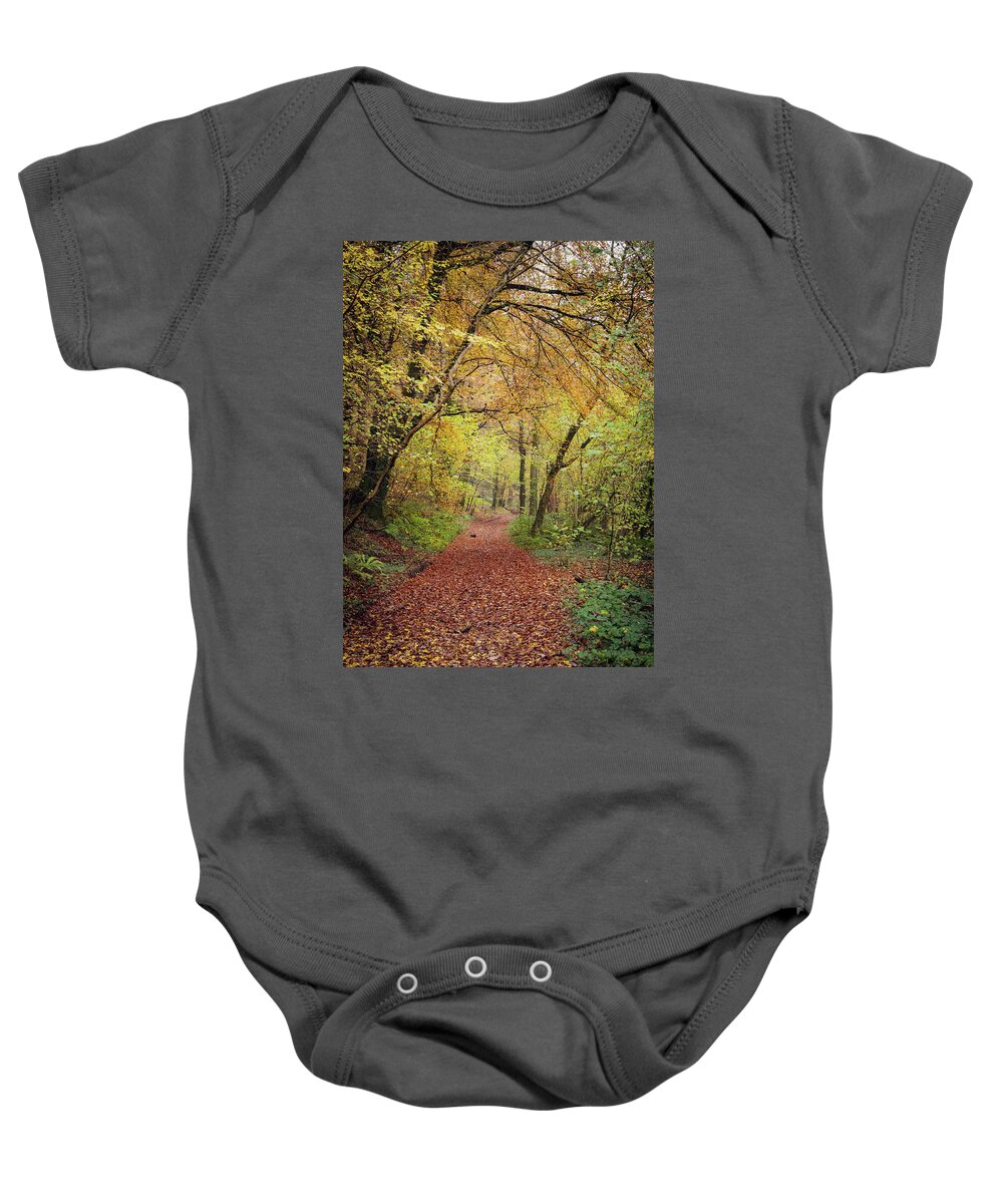 Cardiff Baby Onesie featuring the photograph Autumn, in a nutshell by Gavin Lewis