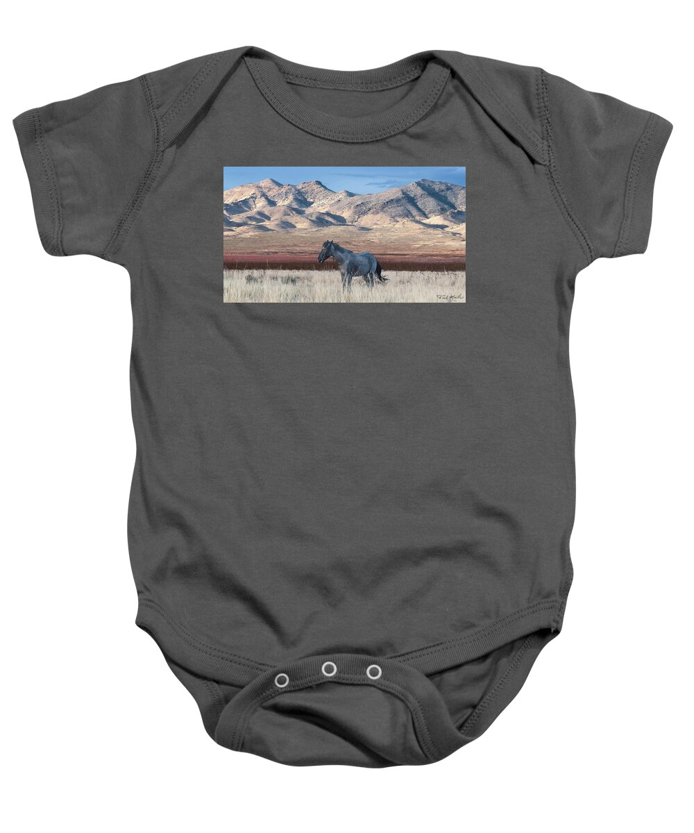 Stallion Baby Onesie featuring the photograph Autumn in the Desert. by Paul Martin