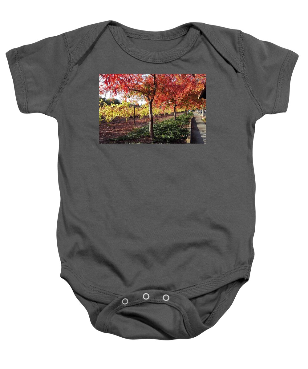 Vineyards Baby Onesie featuring the photograph Autumn Lane by D Patrick Miller
